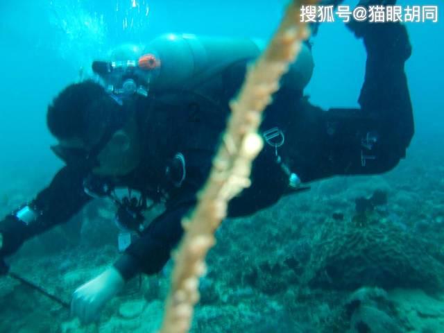 海底世界填颜色5